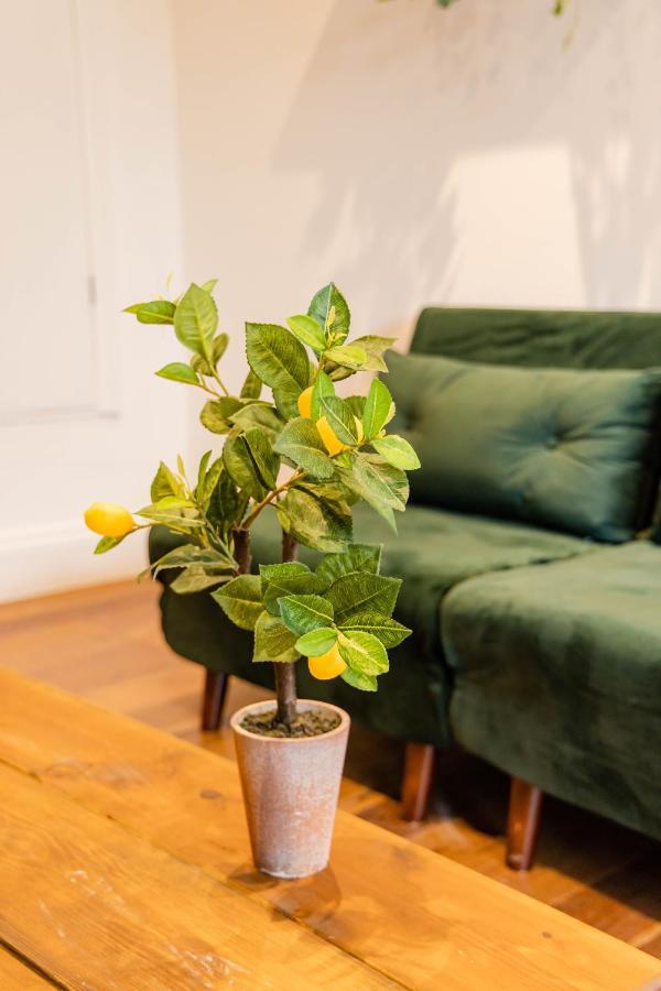 2Cq*Morden Studio Flat *Moments Away From Brighton Seafrontアパートメント エクステリア 写真